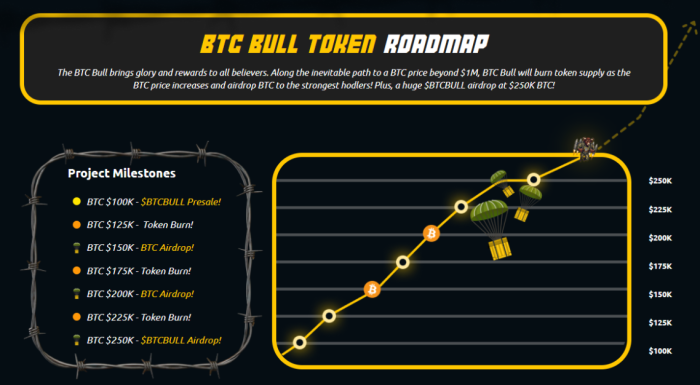 Bitcoin Price to Explode as Strategy Drives Hyperbitcoinization. BTC Bull Token to Follow? 4 BTC Bull token roadmap