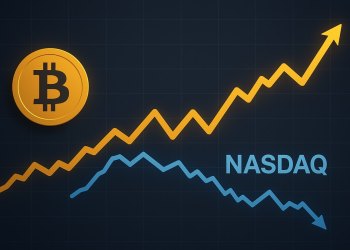 仮想通貨 おすすめ4選