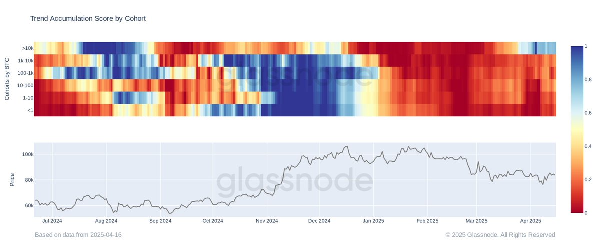 Bitcoin Trend Accumulation Score by Cohort | Source: Glassnode on X