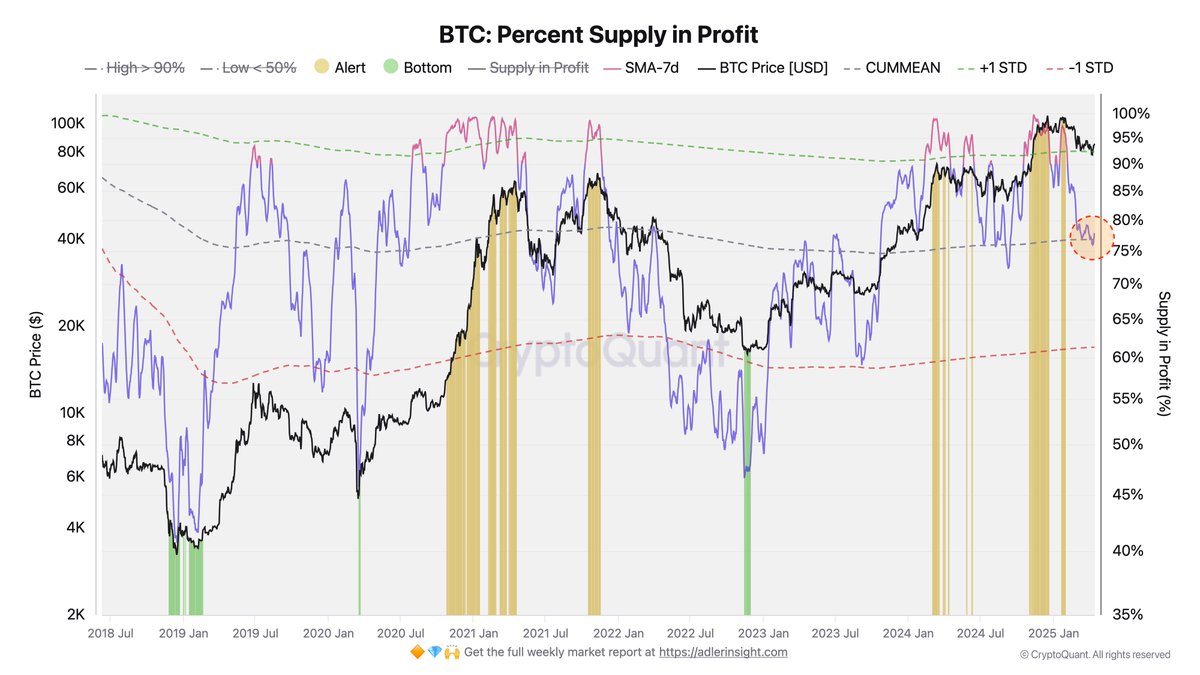 Bitcoin Percent Supply in Profit | Source: Axel Adler on X
