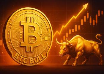 BTC Bull、仮想通貨1000倍の可能性
