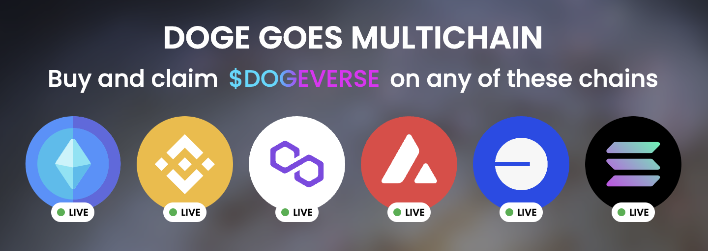Dogeverse multichain