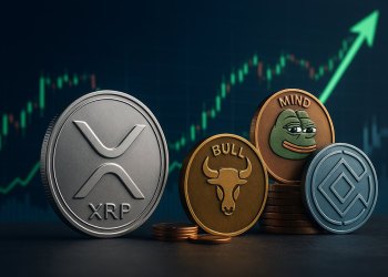 Crypto expert: Top 3 opkomende crypto investeringen voor nieuwe crypto traders