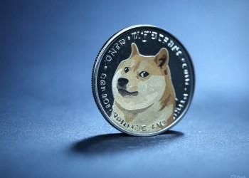 สัญญาณอะไร วาฬกว้านซื้อ Dogecoin ถึง 800,000,000 DOGE