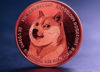 เกิดอะไรขึ้น Dogecoin ทำนักลงทุนสูญกว่า 11 ล้านดอลลาร์ใน 24 ชม.