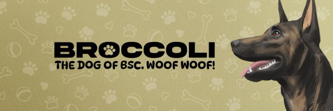 How to Buy Broccoli ($BROCCOLI) – Beginner's Guide to Buying $BROCCOLI Safely