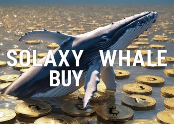 $200K Solaxy Whale Purchase: Is $SOLX Ready for Exponential Growth?