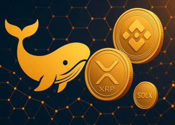 XRPクジラ、新しい仮想通貨に100倍の可能性を見出す