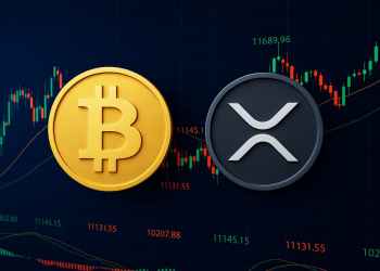 Balenele XRP Identifică o Nouă Oportunitate de 100x într-un Altcoin Emergent – Ar Putea Reproduce Succesul BNB din 2018