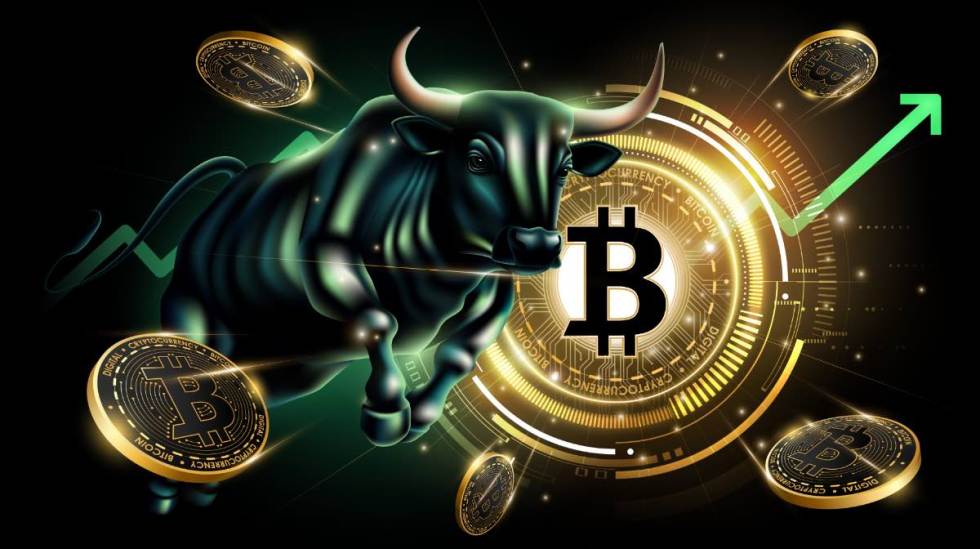 Bitcoin cena BTC Bull