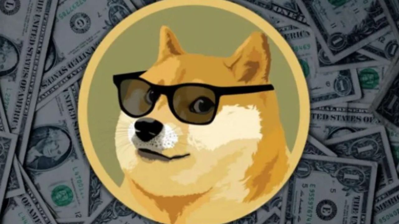Doge