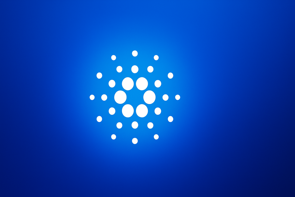Cardano news