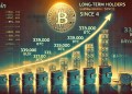 Bitcoin Long-Term Holders Add 339K BTC Since April 4 – Steady Accumulation Signals Conviction