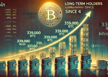 Bitcoin Long-Term Holders Add 339K BTC Since April 4 – Steady Accumulation Signals Conviction