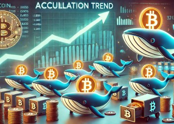 Bitcoin Total Whale Holdings Confirm Accumulation Trend – A Sign Of Rising Prices?