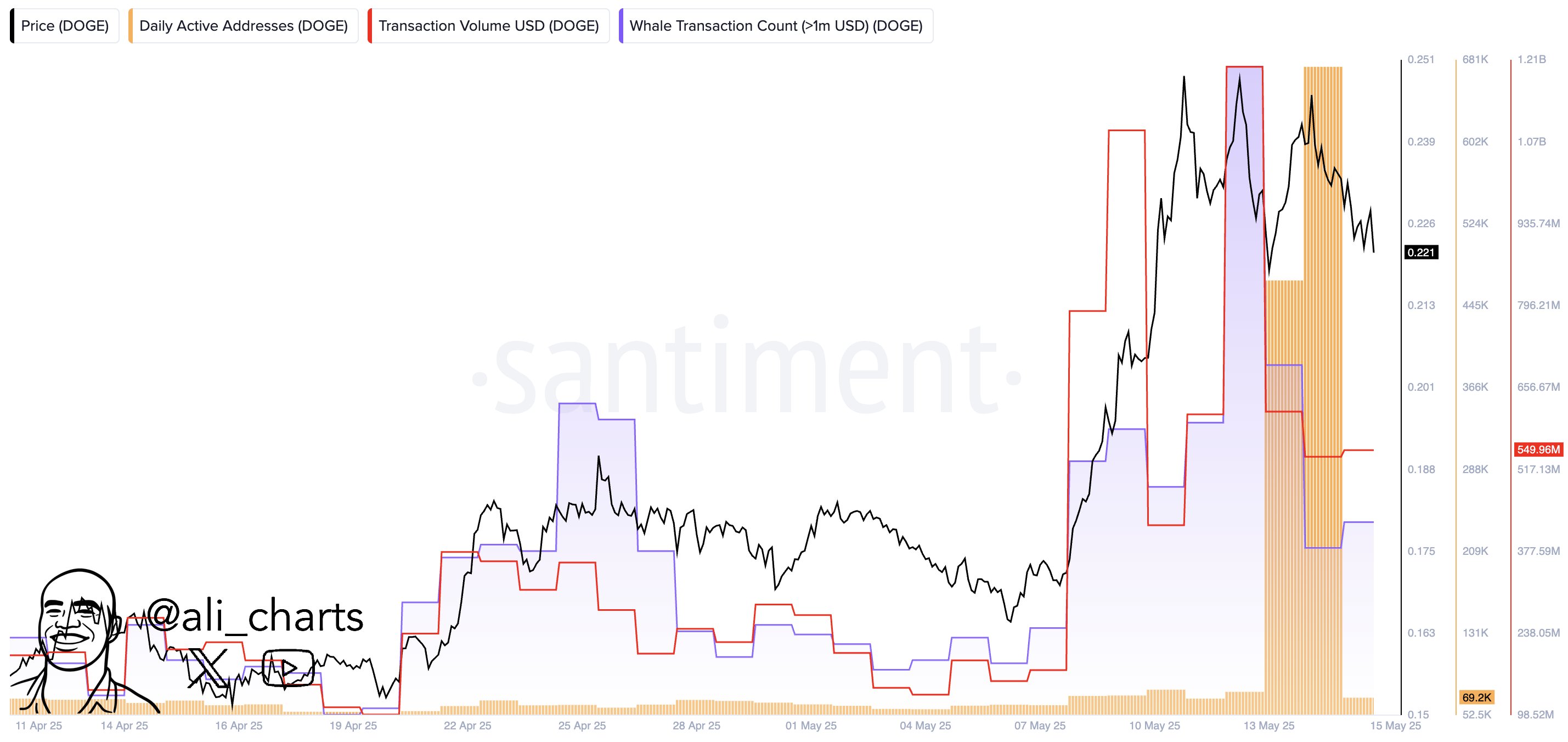 Dogecoin on-chain activity