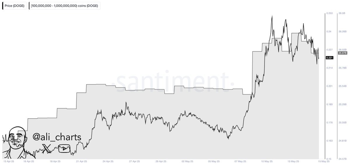 Dogecoin whale activity