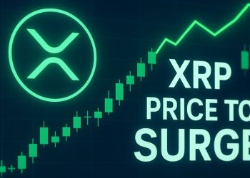 仮想通貨おすすめ｜XRPが3ドル超え目前？RLUSDがカルダノと統合の可能性も