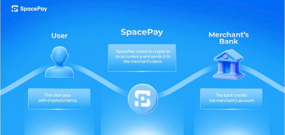 How To Access The $SPY Token Presale