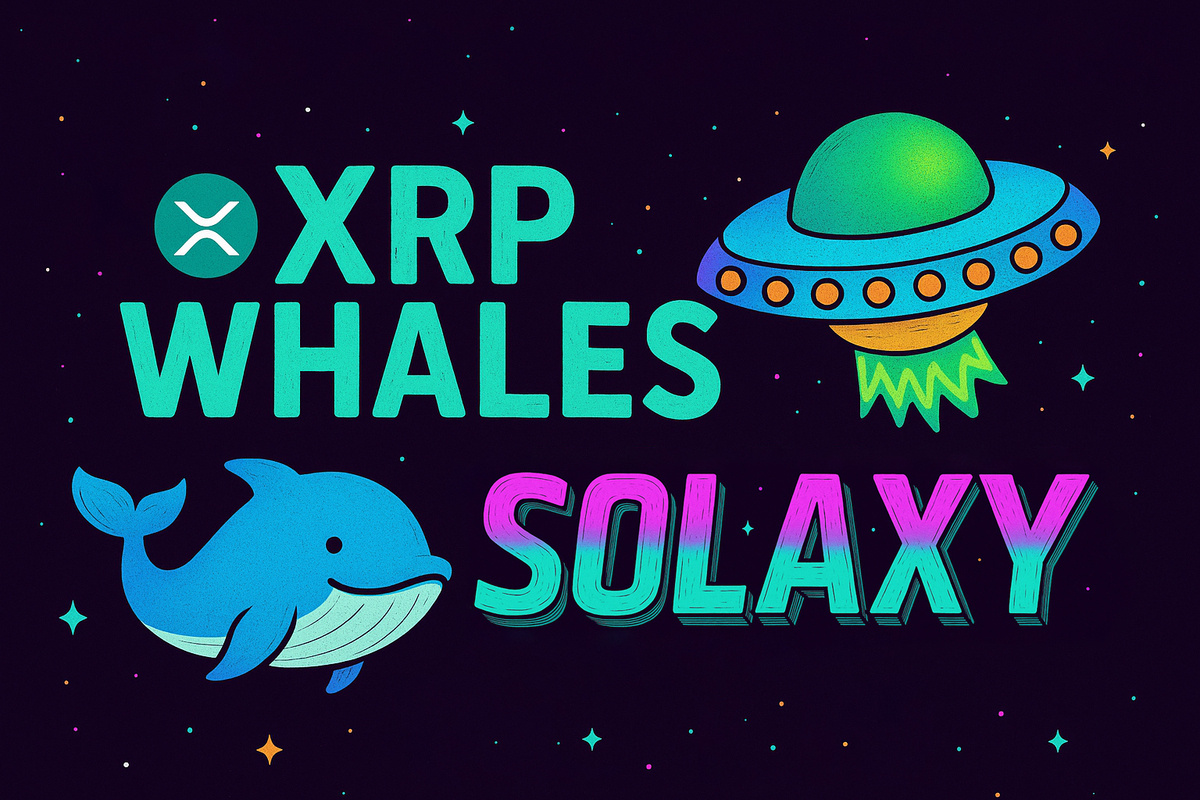 XRP WHALES - SOLAXY