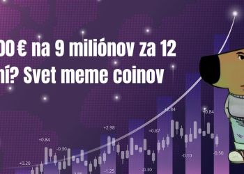 Za 12 dní z 200 € na 9 miliónov €? Realita investovania do meme coinov