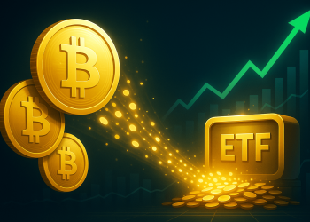 Bitcoin Spot ETFs verzeichnen Rekordzuflüsse – was bedeutet das jetzt für den Markt?