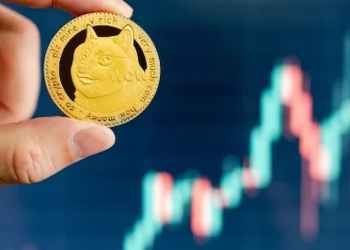 De la 1.000 RON la 90 de milioane în 12 zile – Realitatea din spatele investițiilor în meme coins