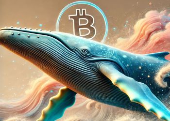 巨鯨操盤策略全揭密:Hyperliquid實戰背後資金流入三大百倍幣布局