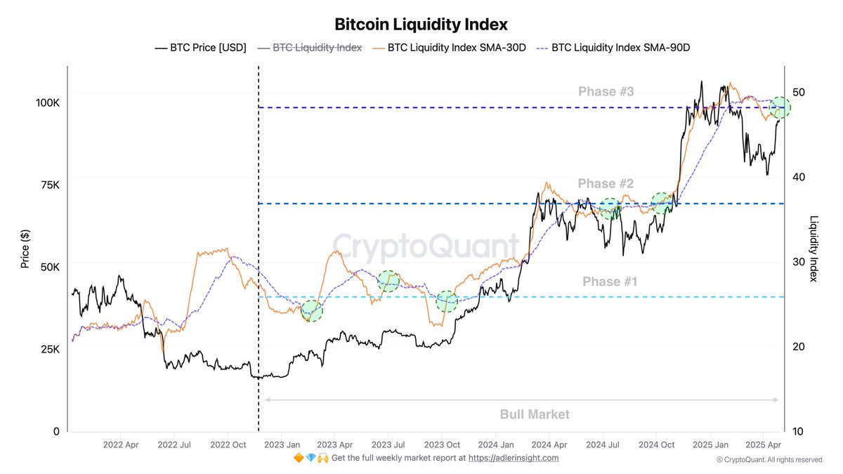 Bitcoin Liquidity Index | Source: Axel Adler on X