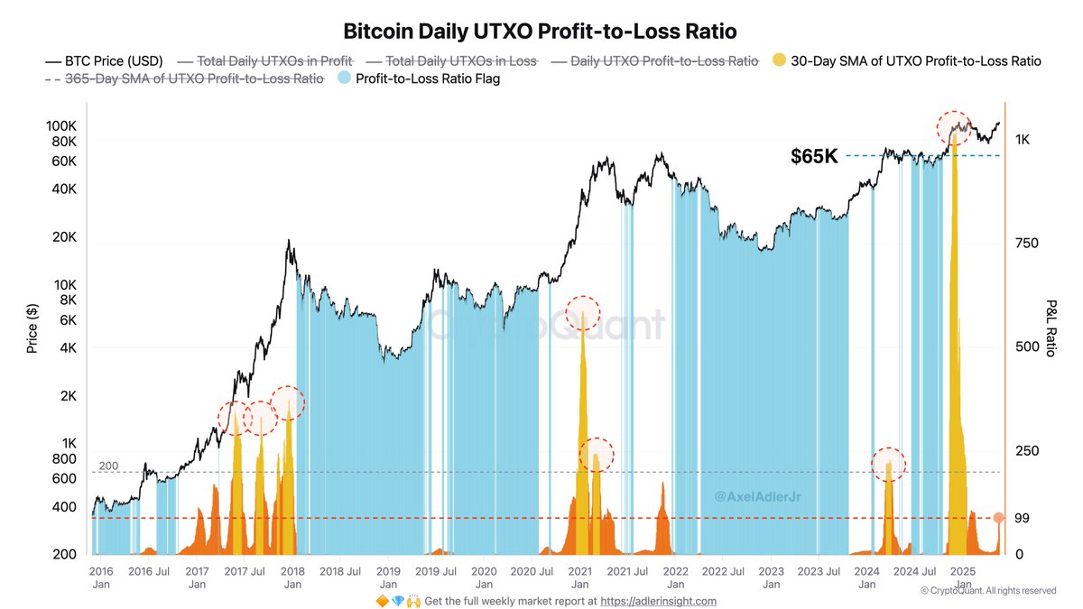 Bitcoin Daily UTXO P/L Ratio | Source: Axel Adler on X