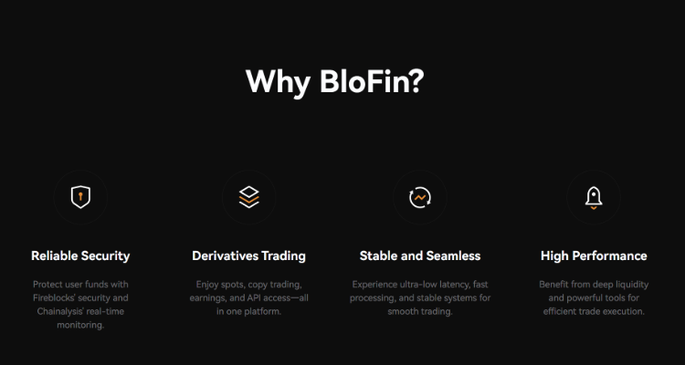 3. BloFin – institucinio lygio kriptovaliutų birža profesionaliems investuotojams