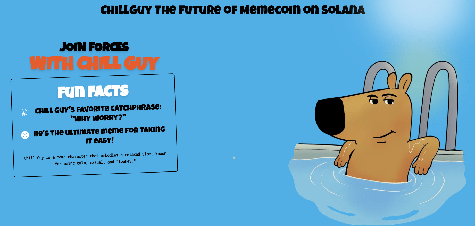 Chill Guy fun facts