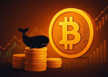 クジラ投資家がSolaxyに37万5,000ドルを投資──今注目すべき仮想通貨 投資とは