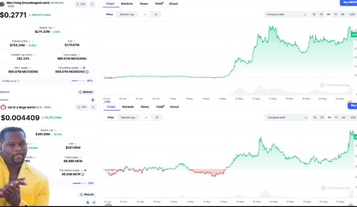 Solana meme coin charts.