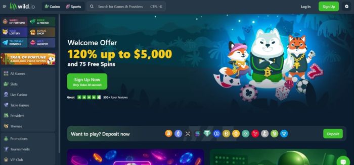 Wild.io ofrece uno de los mejores bonos para criptomonedas.