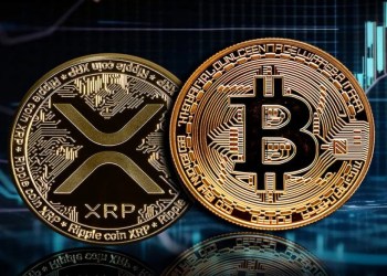 XRP veľryby identifikujú novú príležitosť s potenciálom 100-násobného rastu v novom altcoine, môže zopakovať úspech BNB z roku 2018