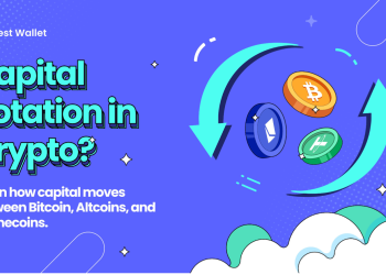 알트코인 시즌 완벽 대비…베스트 월렛 스마트 추적도구로 수익 극대화