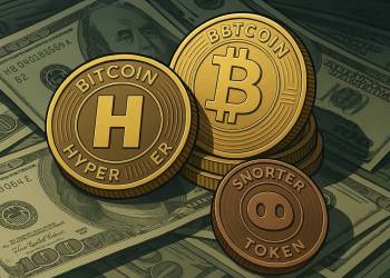 アルトコイン人気再燃で注目集まる仮想通貨 投資2選