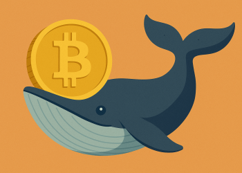 Bitcoin Wale sind trotz Top-Kursen im HOLD-Modus – darum ist das bullisch für Bitcoin