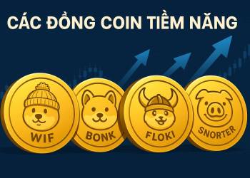 Các đồng coin tiềm năng bùng nổ trong mùa altcoin WIF, BONK, FLOKI và SNORT