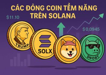 Các đồng coin tiềm năng trên Solana Solaxy, Snorter, Bonk và WIF
