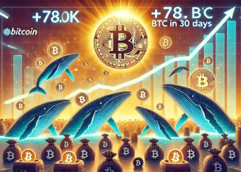 Bitcoin Accumulation Continues Despite ATH: Whales Add 78K BTC In 30 Days