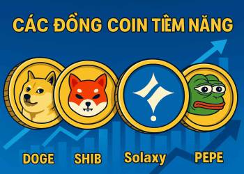 Dogecoin dẫn đầu Shiba Inu và Pepe – Solaxy xuất hiện với tham vọng lật ngược thế cờ
