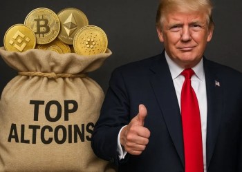 Ingin Cuan Miliaran dari Crypto seperti Trump_ Ini 3 Altcoin Terbaik yang Bisa Jadi Peluang Anda