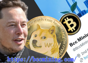 DOGE, XRP, BTC holders earn $37,000 a day through BCC Mining
