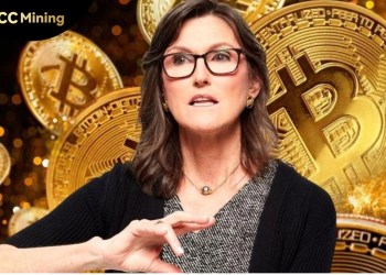 BCC MINING UK official certification, launched free mining: Bitcoin, Dogecoin and Litecoin