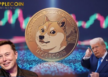The best DOGE and BTC cloud mining platform in 2025, easily earn $16,777 a day