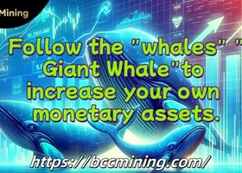 BCC Mining: In 2025, your million-dollar dream starts here!