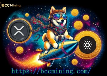 DOGE, SOL, and XRP holders cash out using BCC Mining, earning a stable $97,700 per day
