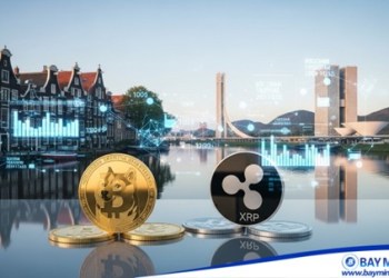 DOGE and XRP market fluctuates, BAY Miner continues to bring users $16,899 in daily income